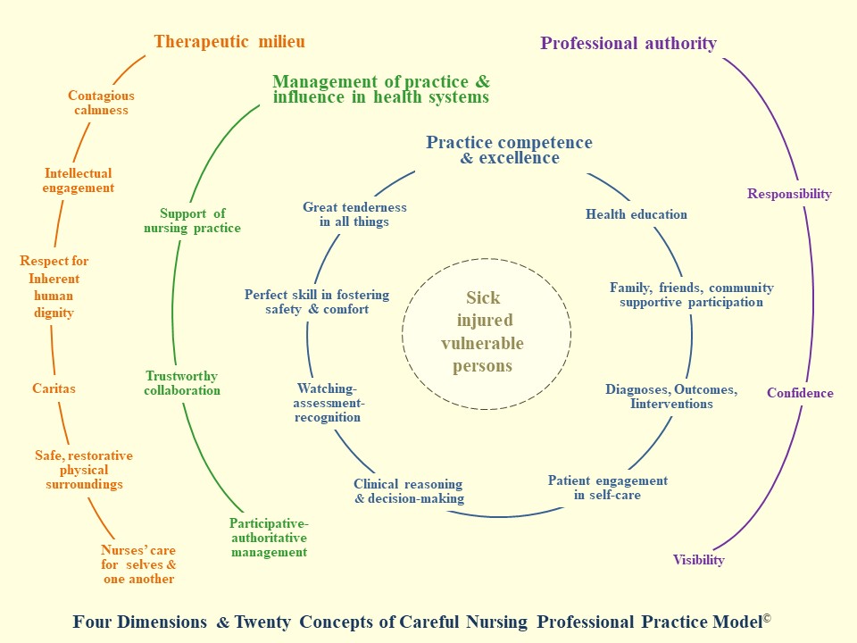 Professional Practice Model Careful Nursing